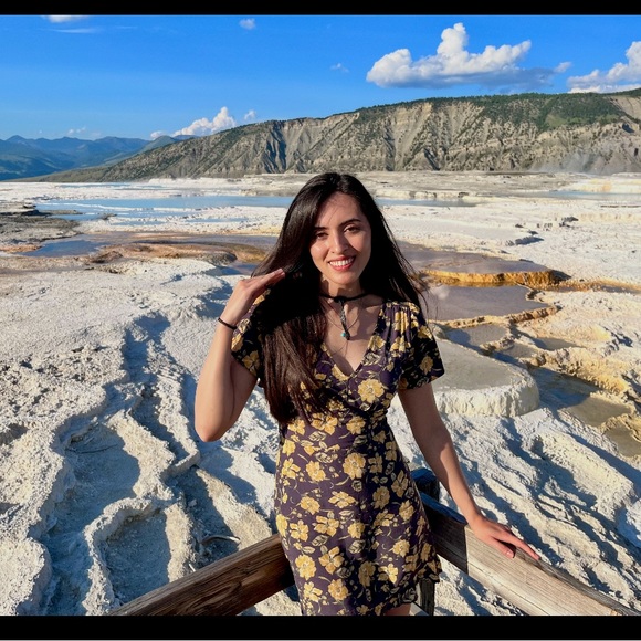 Abercrombie and Fitch Floral Mini Dress Short Sleeve - Picture 7 of 7